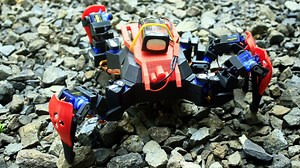 Watch The Snappy, Insect-like Moves Of This DIY Quadruped Robot