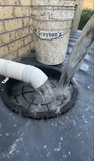 Grayson's Gutter Cleaners Flush Watertank Filter