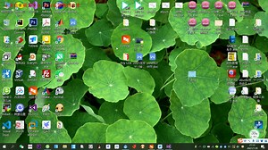 yolov3训练助手2.0使用教程