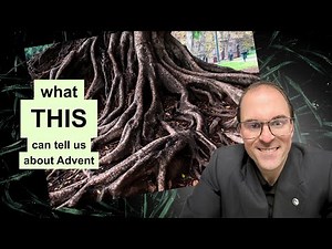 Roots Before Branches Finding Peace In Advent