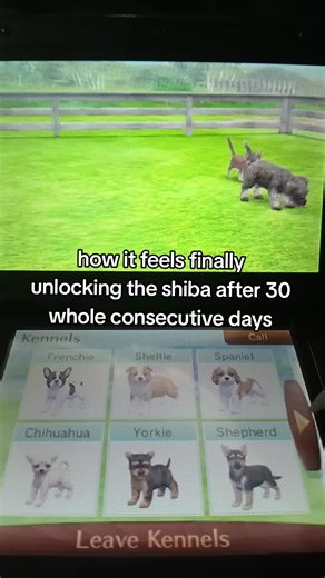 Unlocking the Shiba Inu in Nintendogs: A 30-Day Journey
