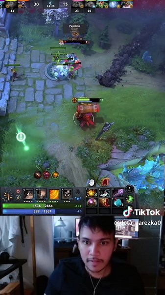 Dota 2 Memes Compilation for Ultimate Fun