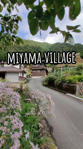 Exploring Miyama Village: A Traditional Japanese Experience