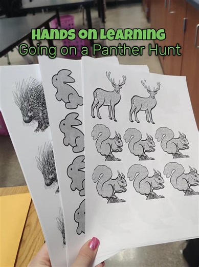 Going on a Panther Hunt: Hands-On Learning Experience
