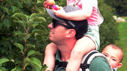 7 pick-your-own apple orchards to visit in Connecticut this fall
