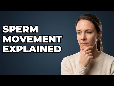 What Does Sperm Motility Mean In Semen Analysis?
