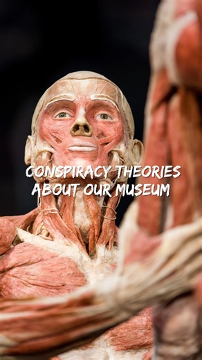 Are the bodies real? Do we know where they come from? Do they rot? Spoiler: the truth is wilder (and way more fascinating) than the theories. - The bodies are real plastinates! Plastination preserves the bodies completely, so you can explore them in incredible detail. - All whole bodies come from registered donors who agreed to donate their bodies for science and education. Donors’ identities are private. - The bodies don’t rot! Plastination replaces tissue fluids with polymers, stopping decompo