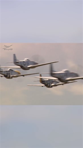 Just a bunch of P-51 Mustangs doing low level passes over Duxford Airfield! Incredible Merlin engine sounds and some in-cockpit views too. These legendary World War II fighters never get old, and the in-cockpit views make it feel like you’re right there in the pilot’s seat. One of the greatest sounds in aviation history. If you love classic aircraft, airshows, and vintage warbird power… this one’s for you. #P51Mustang #MustangPass #DuxfordAirfield #WarbirdFlying #MerlinEngine #WW2Fighters #Class