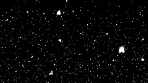 Winter Snow, Falling snow animation loop Slow motion