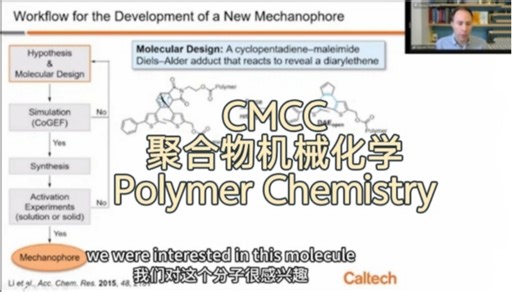 CMCC《聚合物机械化学》| Polymer Mechanochemistry