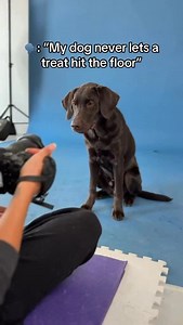 Its a lab thing, you wouldn’t understand 😜 | Floofy Studios