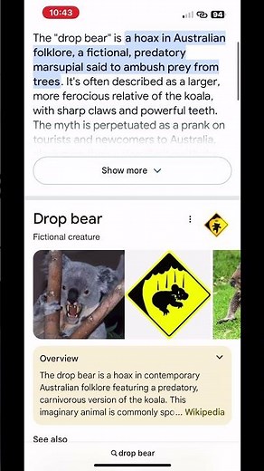 Trying the google drop bear Easter egg!