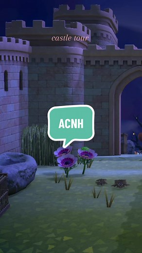 Animal Crossing Island Castle Tour - A Cozy Experience