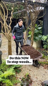 16K views · 357 reactions | Want a garden with NO weeds?? Then now...