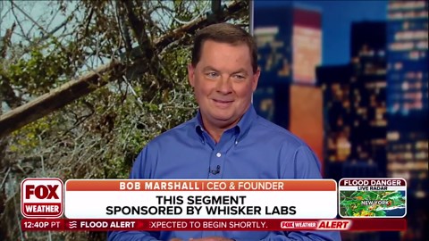 Ting can save your home from an electrical fire