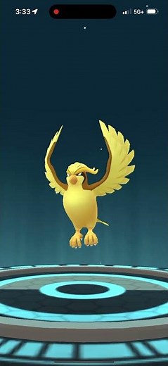 Evolving Shiny Pidgeotto Into Shiny Pidgeot In Pokémon Go