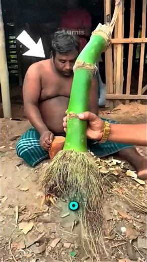 Todo Mundo Riu... Até Ver o Resultado Final! 😱🎋
