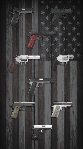 43K views · 765 reactions | What is your favorite Kimber? | Kimber | Facebook