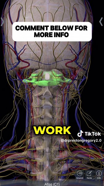 Understanding Upper Neck Issues and Chronic Health Problems