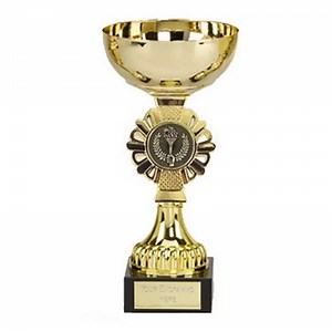 TROPHY FOR ANY OCCASION  Size 18.0 cm  FREE ENGRAVING Sabre Cup 461b  | eBay UK
