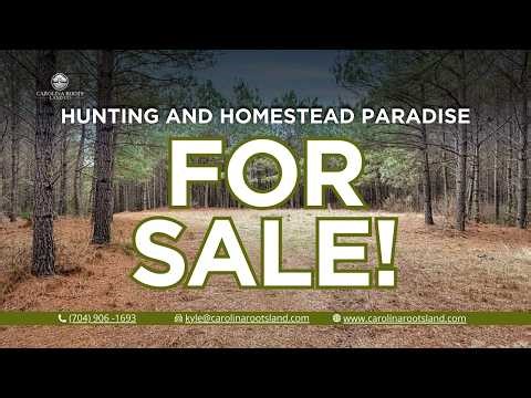 Hunting Land for Sale in Chester County South Carolina - Woods Ferry Rd