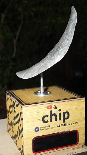 Backyard Scientist on TikTok