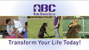 Animal Behavior College TV Spot, 'Transform Your Life Today'