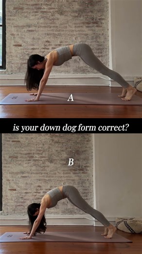 work smarter not harder with down dog