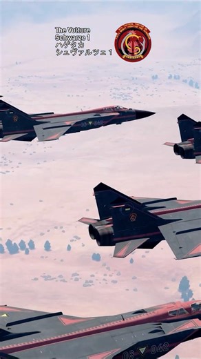 Belkan Air Force: Schwarze Team #warthunder #acecombat