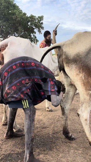 #travelvlog #africa #ghanavlog