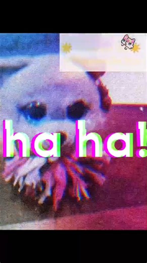 scratch that! | beanie boo edit I made myself without using a template! #edit #beanieboos #bootuber