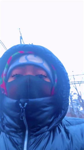 THATS_LADYBUG🐞 (@thats_ladybug)’s videos with original sound - THATS_LADYBUG🐞