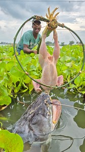 568K views · 2K reactions | Amazing bamboo stick trap fishing system #fish #trap #fishing #video | Only Fishing | Facebook