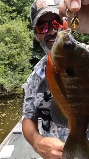 Tara Gaudet | New Video on YouTube- Dat Louisiana Life- go check it out #datlouisianalife #louisiana #cajun | Instagram