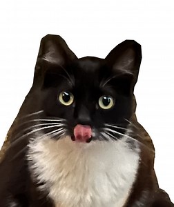 tobi lou Concert & Tour History  | Concert Archives