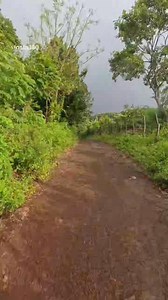 23K reactions · 168 shares | Como ustedes lo pidieron,  nos fuimos a recorrer la trocha con la Serpento Traxx 200cc desde Pochocuape hasta El Crucero.  ¡Pura adrenalina sobre dos ruedas! ️ | Serpento Nicaragua | Facebook