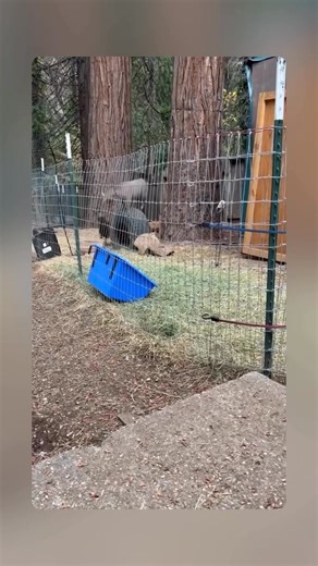 Olivia Elsberry on Reels