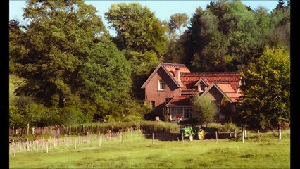 Funny Birds - Das Gelbe vom Ei | movie | 2024 | Official Trailer