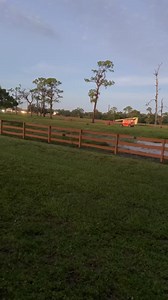 Wskrsnwings on Reels