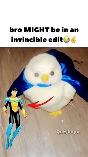 bro might be an invisible edit
