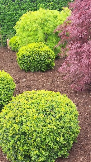 3K views · 114 reactions | Another one nearly done | The Irish Gardener | Facebook