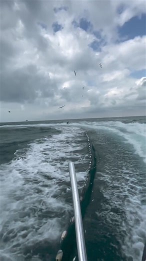 2.4M views · 10K reactions | Amazing Fishing Net casting ! | The best of fishing | Facebook