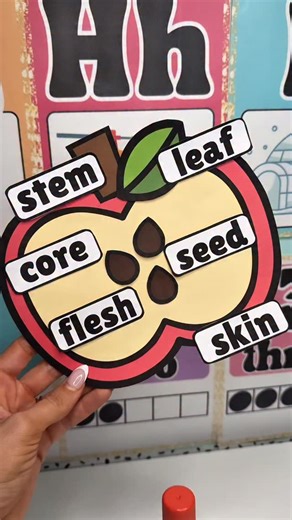 September is for APPLES! 🍎✨🍏 All things Apple this month and I’m so excited because I have so many ideas and fun activities to share with you! #teacher #teachersofinstagram #teachersofig #iteachk #iteachtoo #iteach #classroomsetup #classroomideas #classroompinspirations #teacherinspiration #teacherideas #watchmeteach | Kindergartenkitties Connected Page