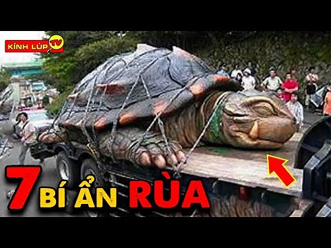 🔥 7 Interesting and Mysterious Things About Turtles That No One Has Ever Told You | Magnifying Gl...