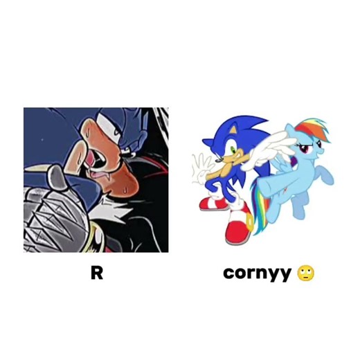 i think we all know which ship is better 😑 #mlp #mylitlepony #sonicthehedgehog #fypシ #sondash