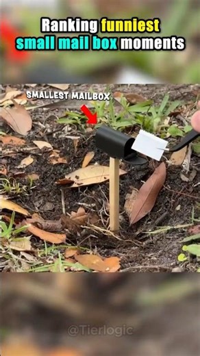 Ranking the funniest small mail box moments 🤣