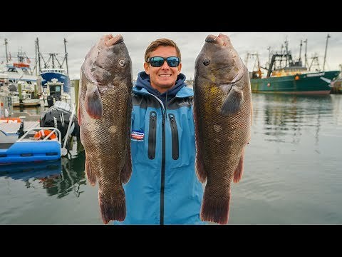 How to Fillet Tautog (Blackfish)