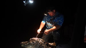 2020 Florida alligator hunt allows 7,500 hunters to kill over 15,000 gators Aug. 15-Nov. 1