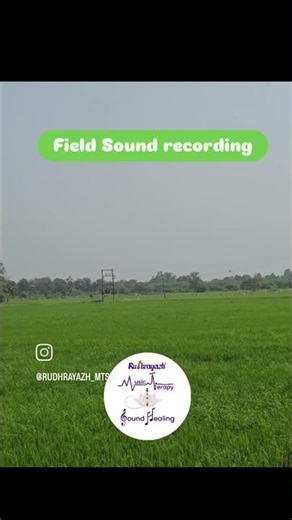Bird Sound - Field Sound Recording
