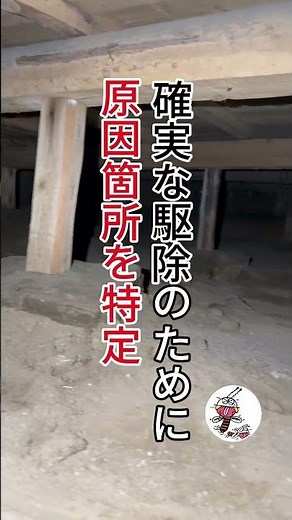 ヤマトシロアリ駆除工事